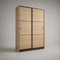 Kleiderschrank mit 2 Schiebetüren aus melaminbeschichteter Spanplatte, Eiche hell und Schwarz, 120 × 60 × 200 cm